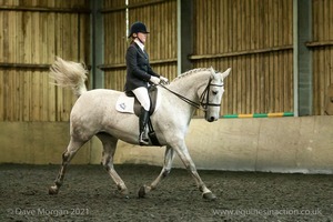 Isis Dressage Crown Farm Show 29th April 2012